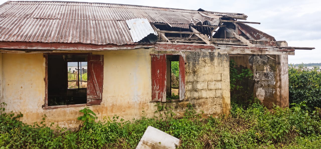 The plight of Ogo-Eze Schools in Delta State